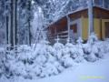 Pron�jem chaty - Jedovnice, Ji�n� Morava