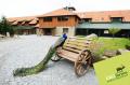 Nab�dka ubytov�n� v penzionu - Horn� Chr᚝any, �umava